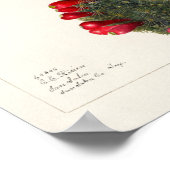 Vintage Kakteen/Sukkulente Illustration Poster (Ecke)