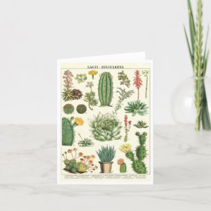 Vintage Kakteen und Sukkuline Botanische Note Card Dankeskarte