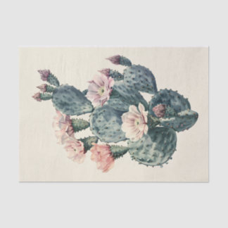 Vintage Kaktus Aquarellfarben Rosa Blüten Dekoupag Seidenpapier