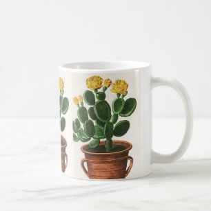 Vintage Kaktus-Blume, sukkulente Kakteen-Pflanze Kaffeetasse