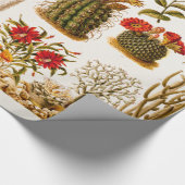 Vintage Kaktus-Blumen-alte Blumenillustration 1911 Geschenkpapier (Ecke)