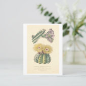 Vintage Kaktus Botanische Illustration Postkarte (Stehend Vorderseite)