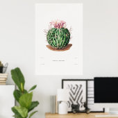 Vintage Kaktus-Illustration Poster (Heimbüro)