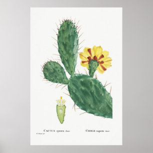 Vintage Kaktus-Illustration Poster
