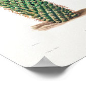 Vintage Kaktus-Illustration Poster (Ecke)