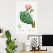 Vintage Kaktus-Illustration Poster (Heimbüro)