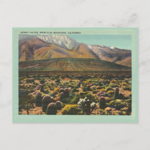 Vintage-Kalifornien-Wüsten- und Bergszene Postkarte
