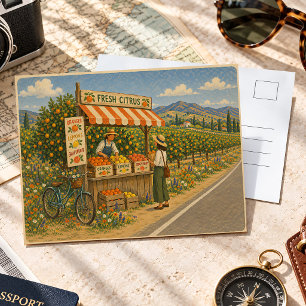 Vintage Kalifornien-Zitrusplantage-Straßenstand Postkarte