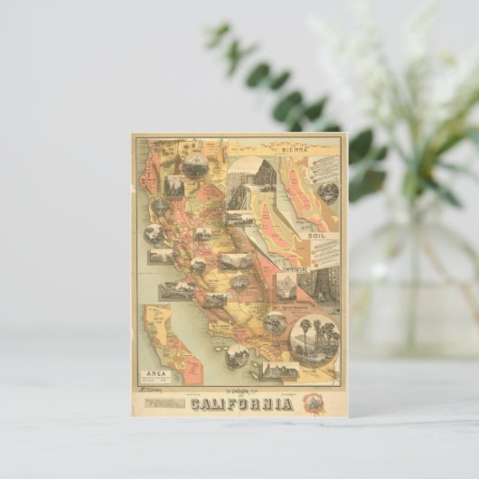 Vintage kalifornische Postkarte (Stehend Vorderseite)