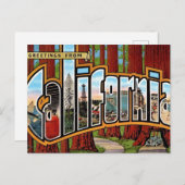 Vintage kalifornische Redwoods Postkarte (Vorne/Hinten)