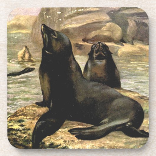 Vintage kalifornische Seelöwen von CE Swan Getränkeuntersetzer (Vorderseite)