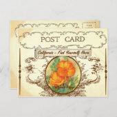 Vintage kalifornische Staat Blume Postkarte (Vorne/Hinten)