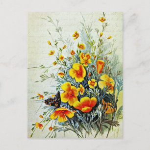 Vintage Kalifornischer Mohn Wildblumen  Postkarte