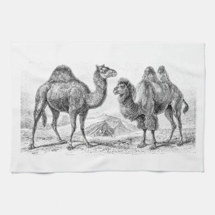 Vintage Kamel-Illustration - Retro antike Kamele Küchentuch