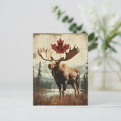 Vintage Kanada Elch Mit Kanadischem Ahornblatt Postkarte (Stehend Vorderseite)