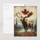 Vintage Kanada Elch Mit Kanadischem Ahornblatt Postkarte (Vorne/Hinten)