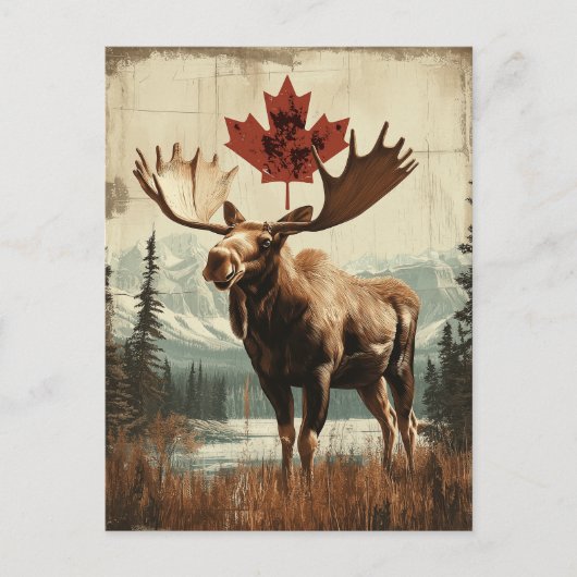 Vintage Kanada Elch Mit Kanadischem Ahornblatt Postkarte (Vorderseite)