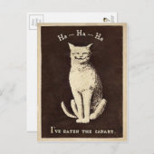 Vintage Kanarienkatze Postkarte (Vorne/Hinten)