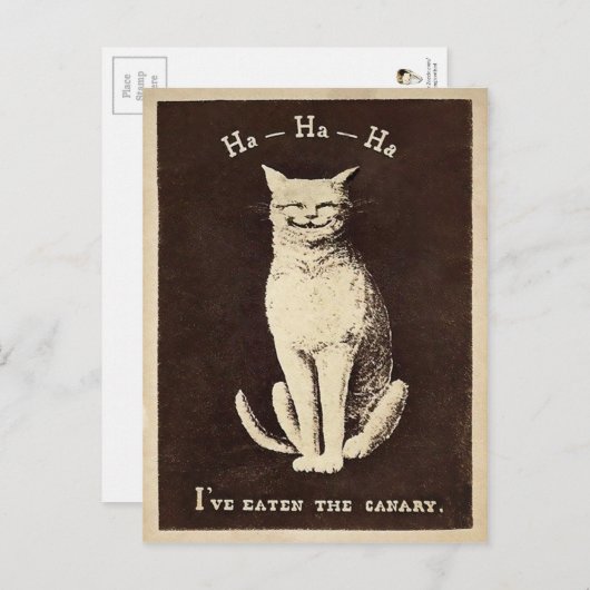 Vintage Kanarienkatze Postkarte (Vorne/Hinten)