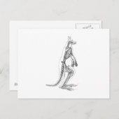 Vintage Kangaroo Skeleton Illustration - 1800er Postkarte (Vorne/Hinten)