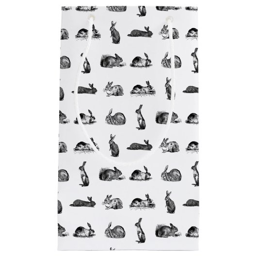Vintage Kaninchen Bunnies Art CUSTOM HINTERGRUNDFA Kleine Geschenktüte (Vorderseite)