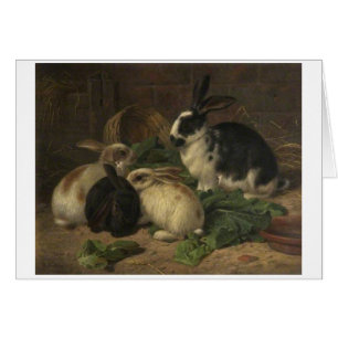 Vintage - Kaninchen essen Salat,