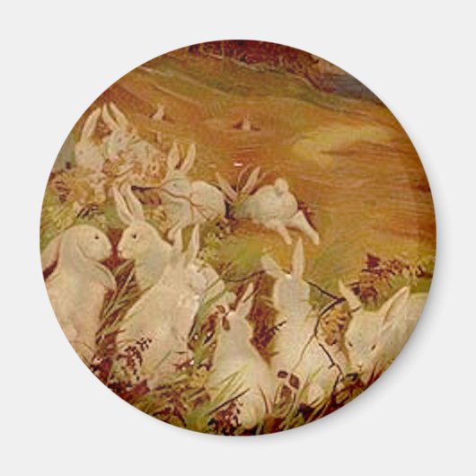 Vintage Kaninchen Magnet (Vorne)