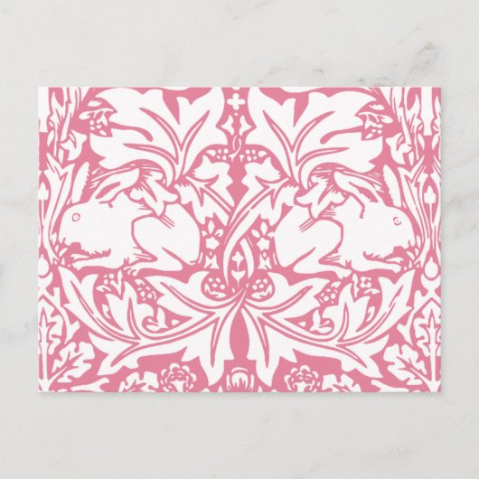 Vintage Kaninchen Postkarte (Vorderseite)