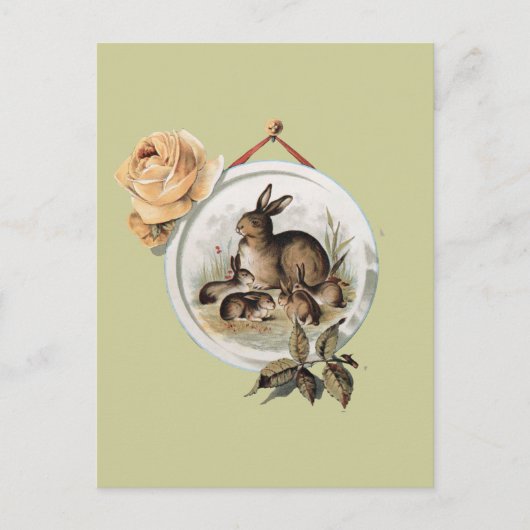 Vintage Kaninchenfamilie Postkarte (Vorderseite)