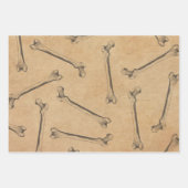 Vintage Karbon-Anatomiewrapping-Papierblätter Geschenkpapier Set (Vorderseite 3)
