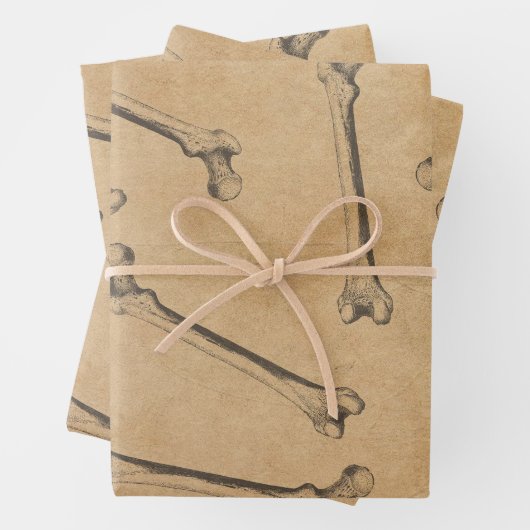 Vintage Karbon-Anatomiewrapping-Papierblätter Geschenkpapier Set (Beispiel)