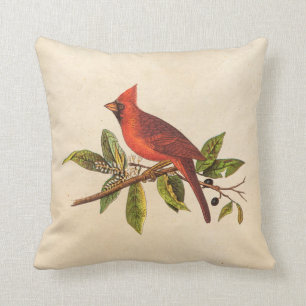 Vintage Kardinals-Lied-Vogel-Illustration - 1800's Kissen