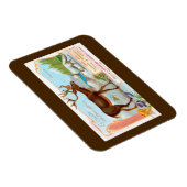 Vintage Karibik (Rentier) und Arktis Fox Magnet (Rechte Seite)