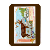 Vintage Karibik (Rentier) und Arktis Fox Magnet (Vertikal)