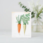 Vintage Karotten Botanische Schrift Postkarte (Stehend Vorderseite)