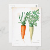 Vintage Karotten Botanische Schrift Postkarte (Vorne/Hinten)