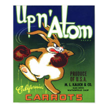 Vintage Karottenkiste