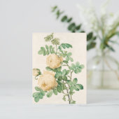 Vintage Karte (Stehend Vorderseite)