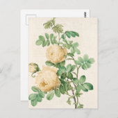 Vintage Karte (Vorne/Hinten)