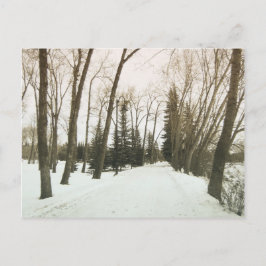 Vintage Karte - Bäume im Winter