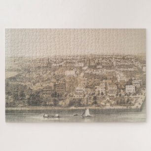 Vintage Karte Charleston SC (1851) Puzzle