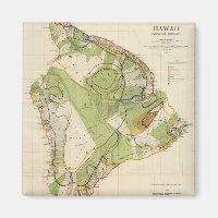 Vintage Karte der Insel Hawaii (1906)