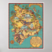 Vintage Karte der Insel Hawaii Poster (Vorne)