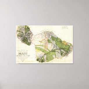 Vintage-Karte der Insel Maui (1906) Leinwanddruck