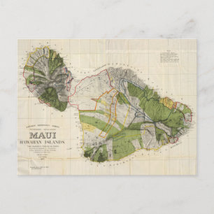 Vintage-Karte der Insel Maui (1906) Postkarte