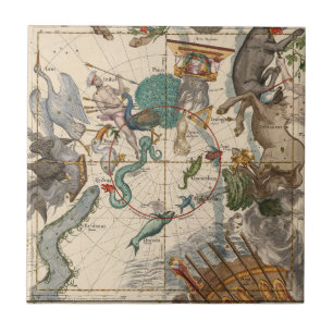 Vintage Karte des Südpols Fliese