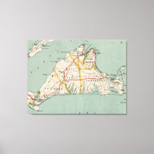 Vintage Karte des Weingartens von Martha (1917) Leinwanddruck