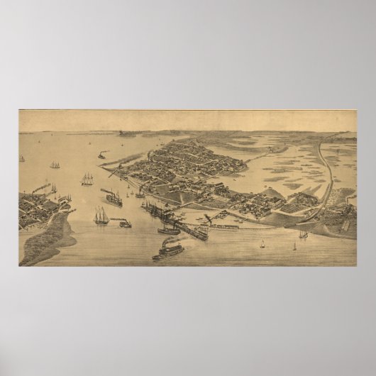 Vintage Karte des Zedernschlüssels FL (1884) Poster (Vorne)