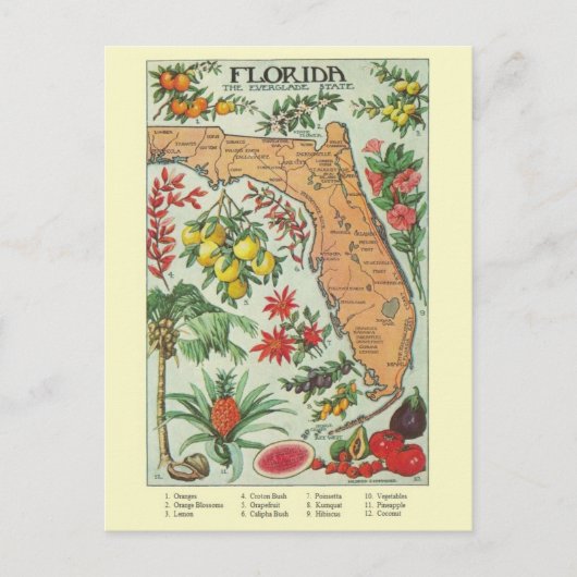 Vintage Karte Florida (Vorderseite)