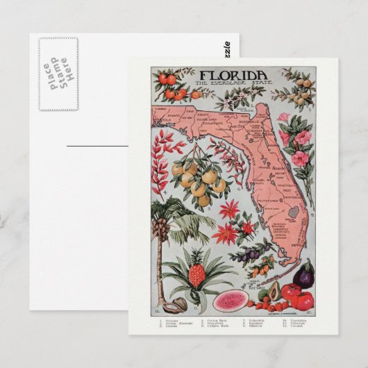 Vintage Karte Florida (Vorne/Hinten)